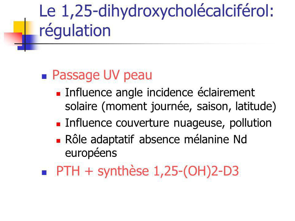 Le 1,25-dihydroxycholécalciférol: régulation
