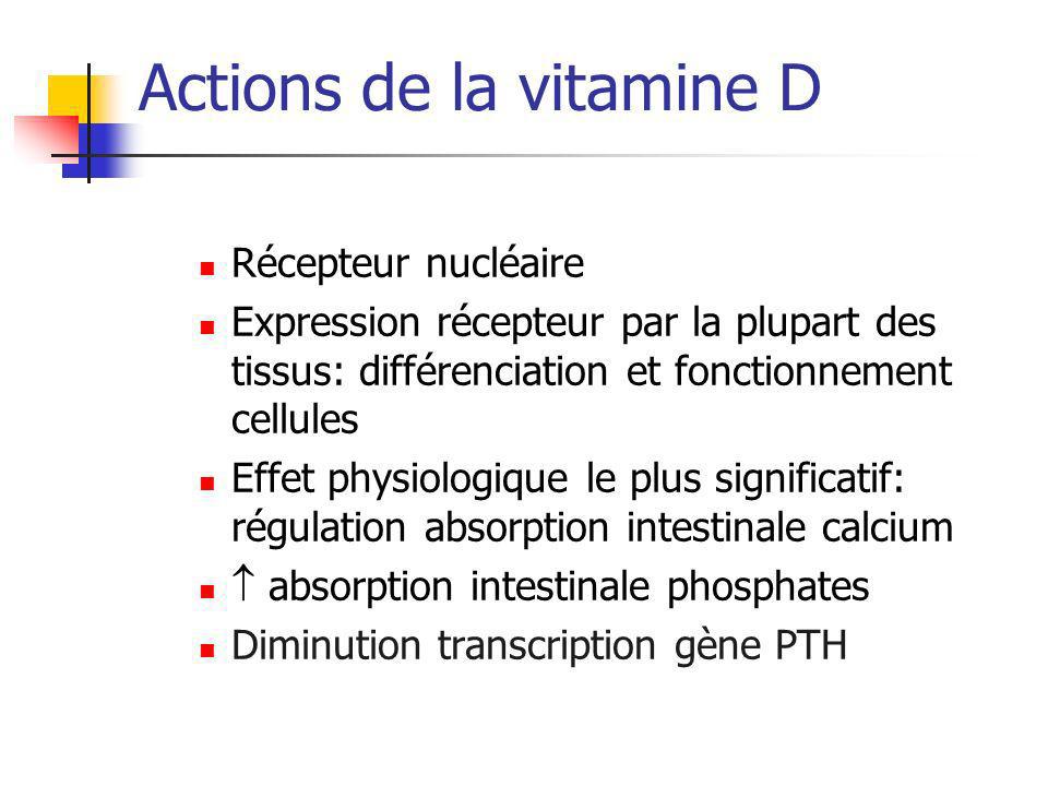 Actions de la vitamine D