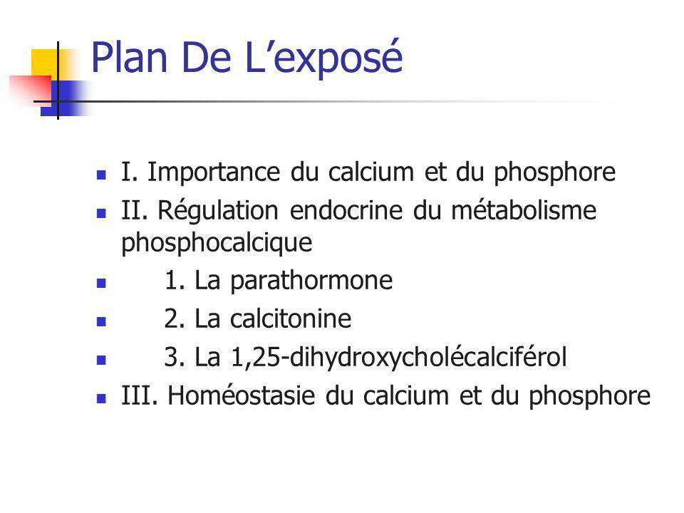 Plan De L’exposé I. Importance du calcium et du phosphore