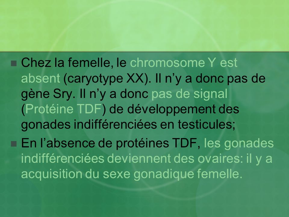 Chez la femelle, le chromosome Y est absent (caryotype XX)