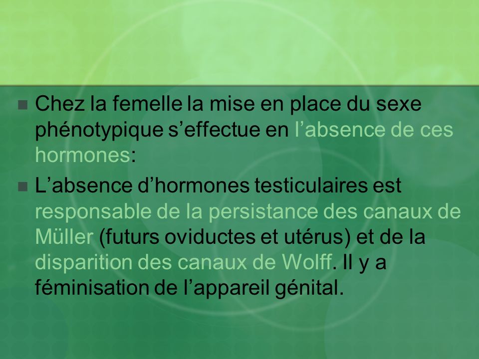 Chez la femelle la mise en place du sexe phénotypique s’effectue en l’absence de ces hormones: