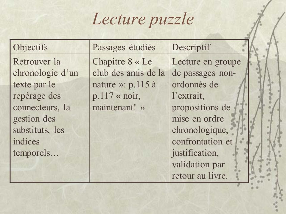 Lecture puzzle Objectifs Passages étudiés Descriptif