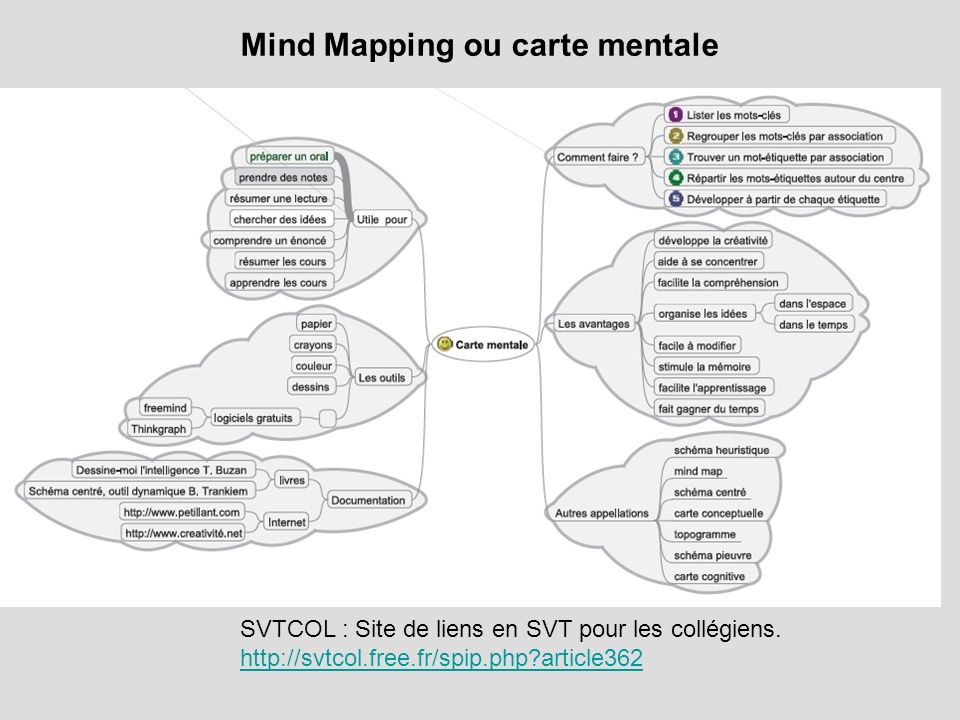 Mind Mapping ou carte mentale