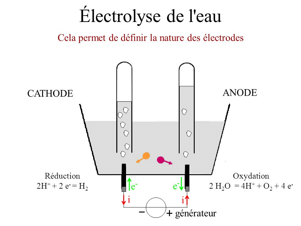 Cela permet de définir la nature des électrodes