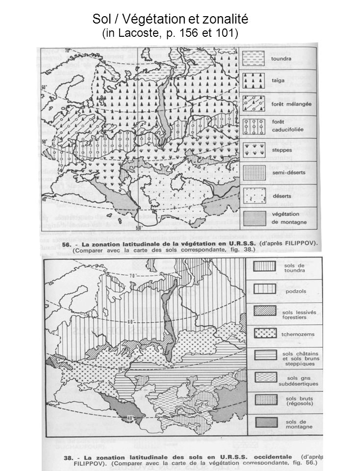 Sol / Végétation et zonalité (in Lacoste, p. 156 et 101)