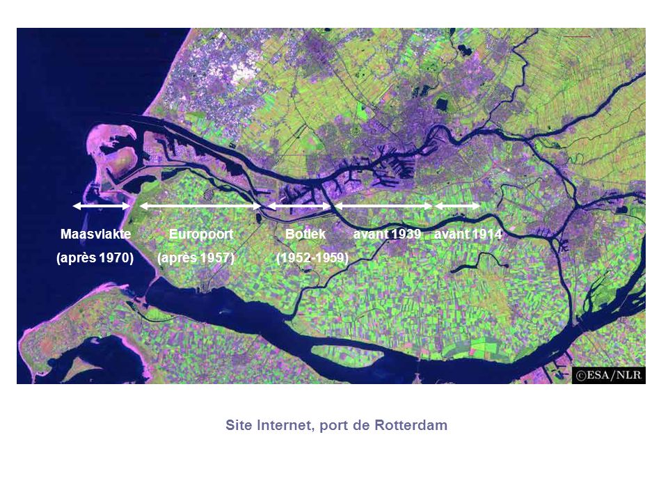 Site Internet, port de Rotterdam