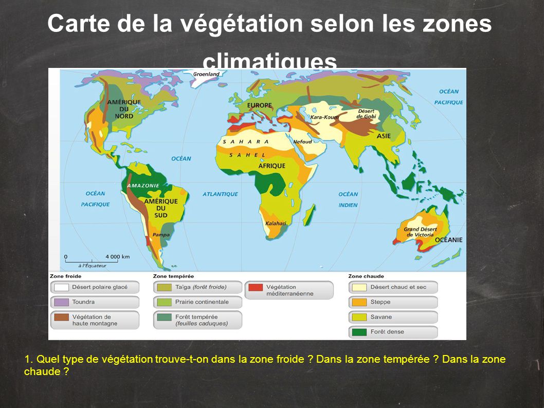 Géo 7 Reliefs Et Climats Du Monde Ppt Video Online