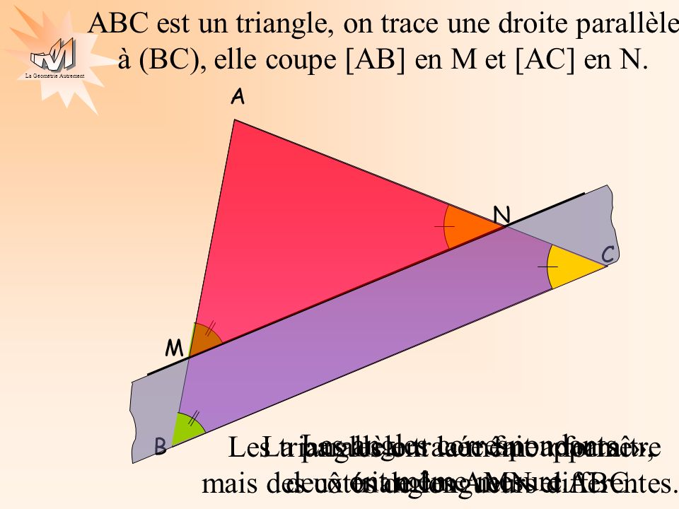 La parallèle tracée fait apparaître deux triangles AMN et ABC.