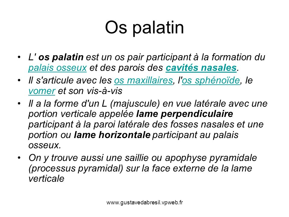 Os palatin L os palatin est un os pair participant à la formation du palais osseux et des parois des cavités nasales.
