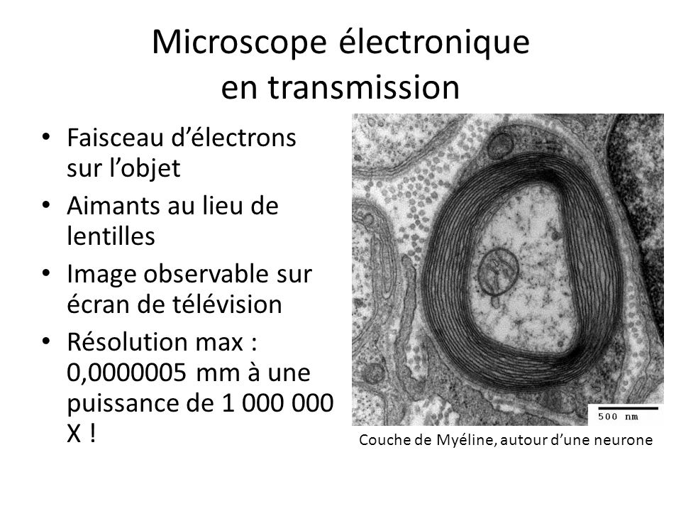 Schéma du microscope électronique en transmission (Adaptation de