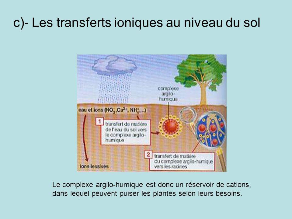 c)- Les transferts ioniques au niveau du sol