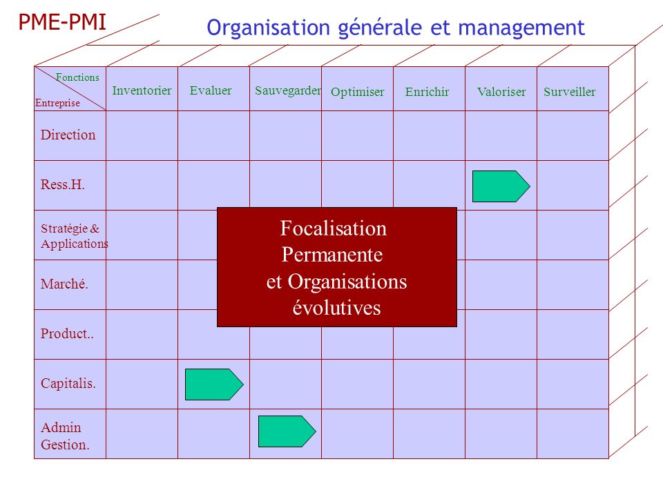 Organisation générale et management