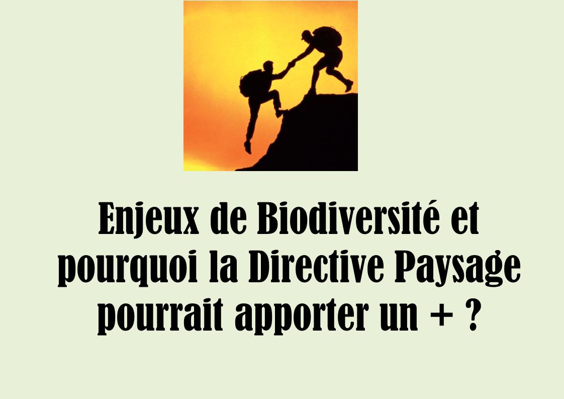 Enjeux de Biodiversité et pourquoi la Directive Paysage pourrait apporter un +