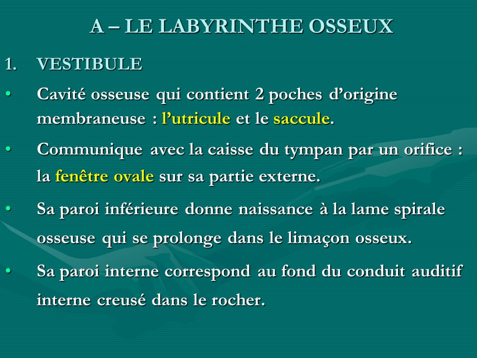 A – LE LABYRINTHE OSSEUX