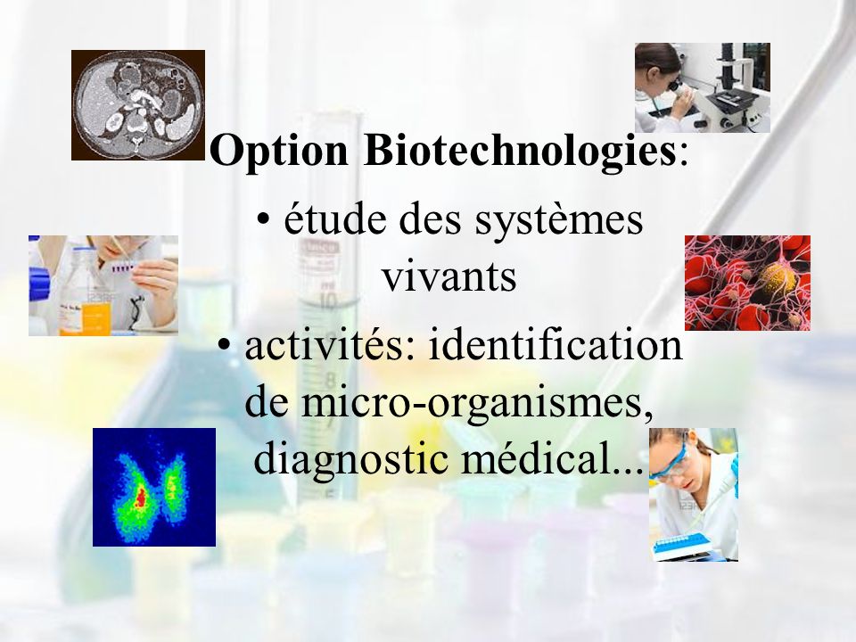 Option Biotechnologies: étude des systèmes vivants