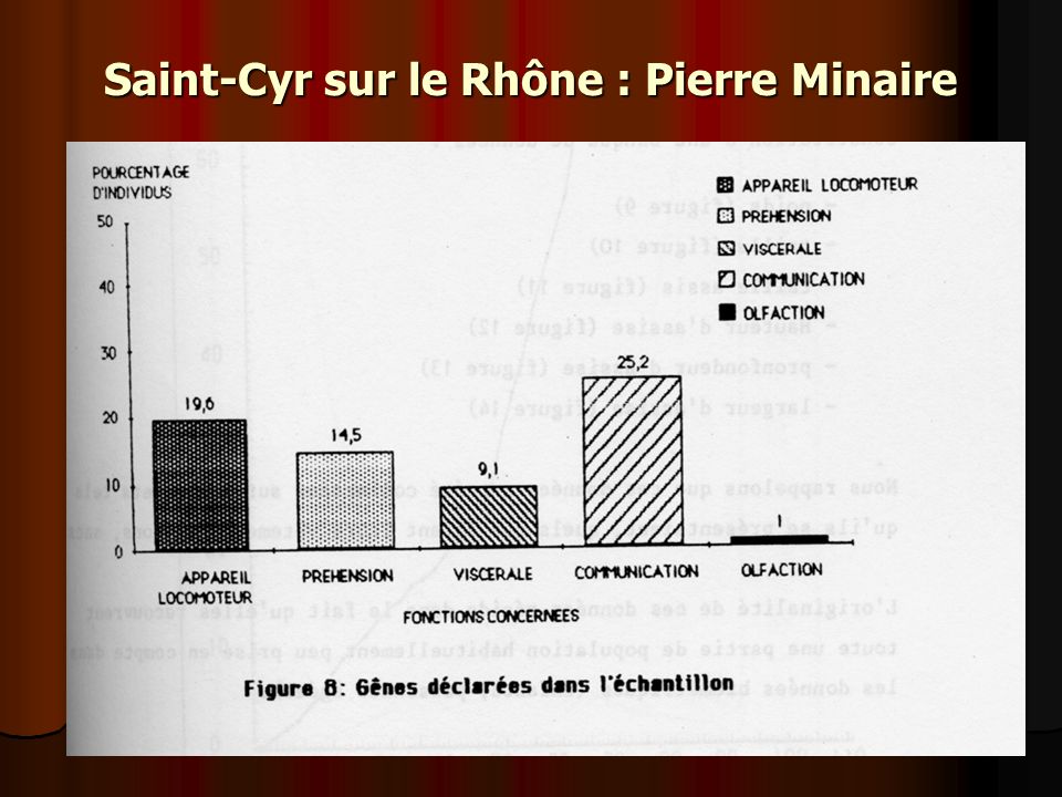 Saint-Cyr sur le Rhône : Pierre Minaire