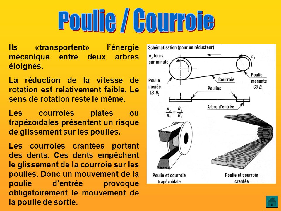 Poulie / Courroie Poulie / Courroie