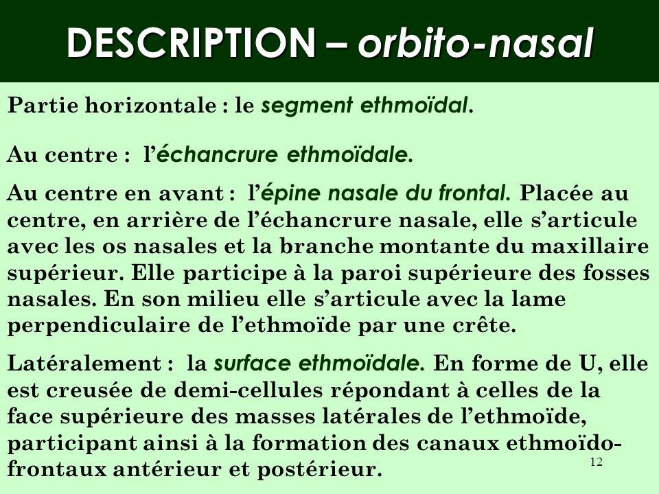 DESCRIPTION – orbito-nasal