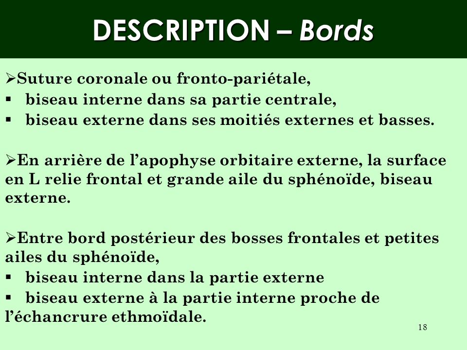 DESCRIPTION – Bords Suture coronale ou fronto-pariétale,