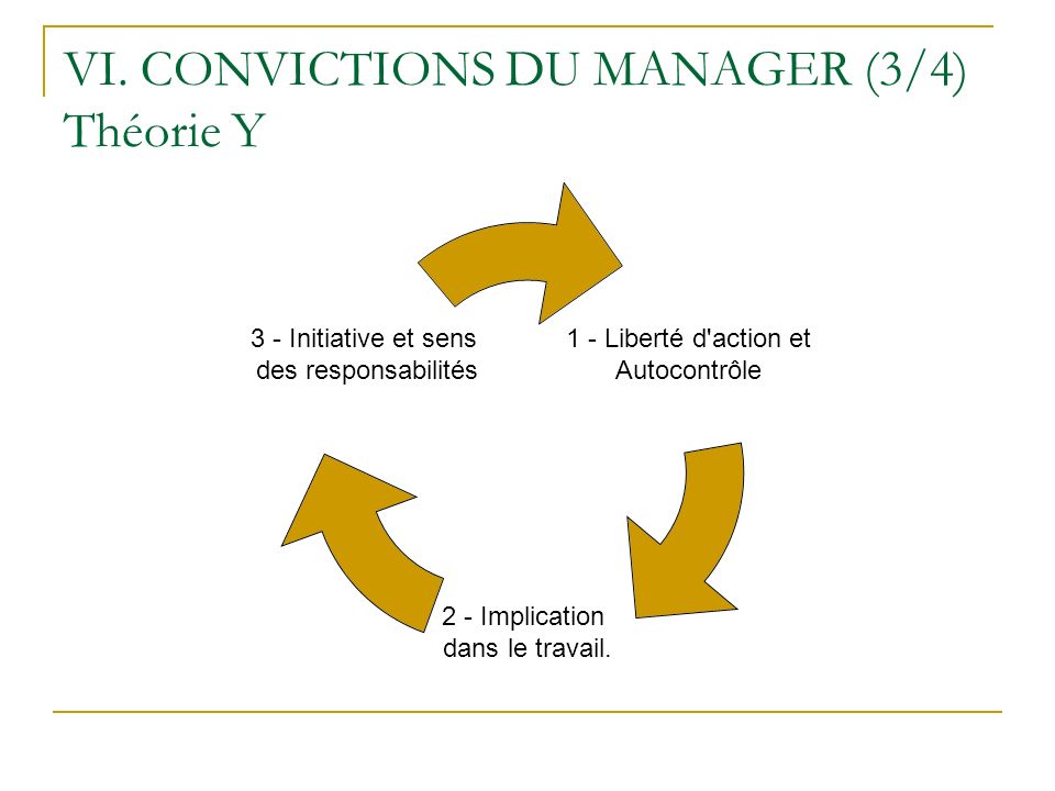 VI. CONVICTIONS DU MANAGER (3/4) Théorie Y