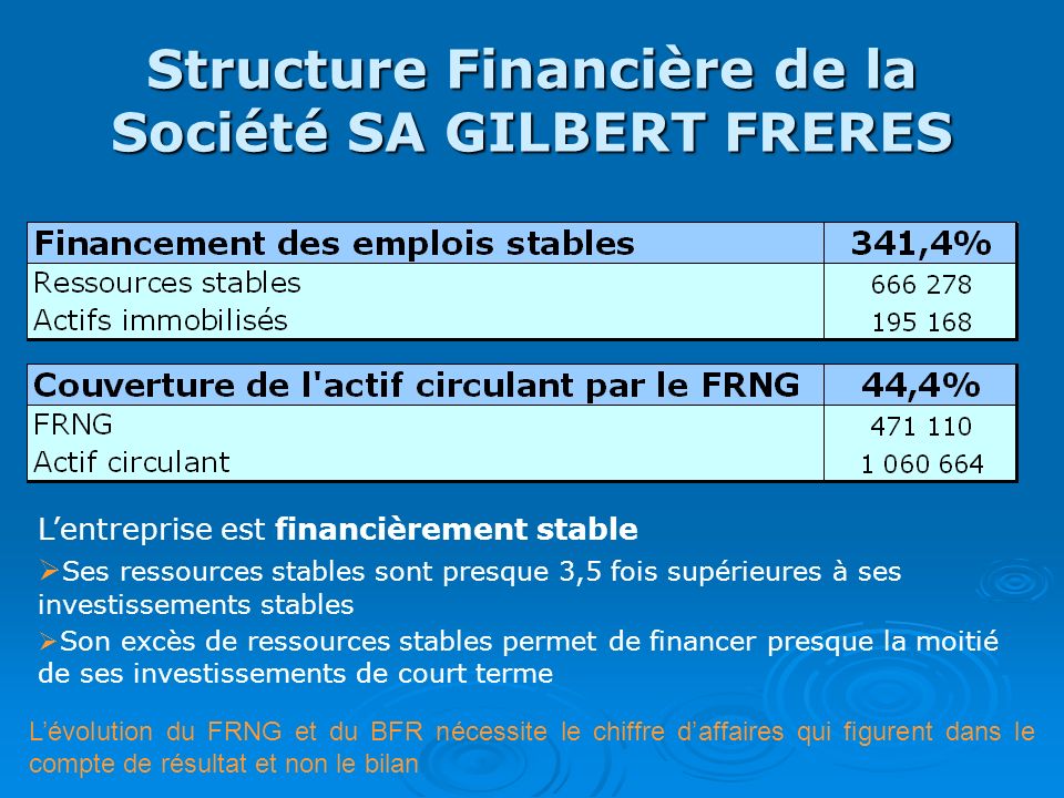 Structure Financière de la Société SA GILBERT FRERES