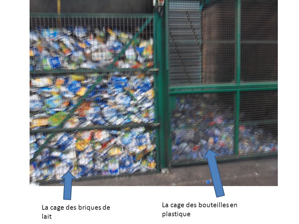 La cage des bouteilles en plastique