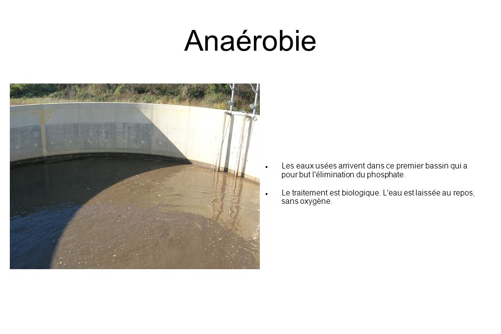 Anaérobie Les eaux usées arrivent dans ce premier bassin qui a pour but l élimination du phosphate.