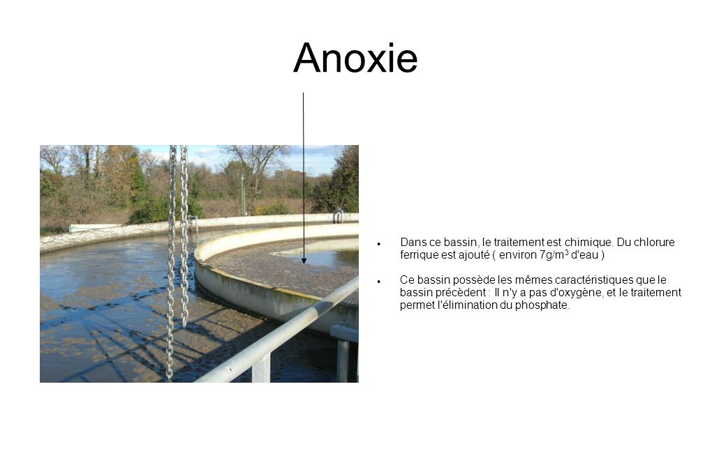 Anoxie Dans ce bassin, le traitement est chimique. Du chlorure ferrique est ajouté ( environ 7g/m3 d eau )