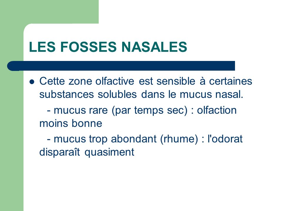 LES FOSSES NASALES Cette zone olfactive est sensible à certaines substances solubles dans le mucus nasal.