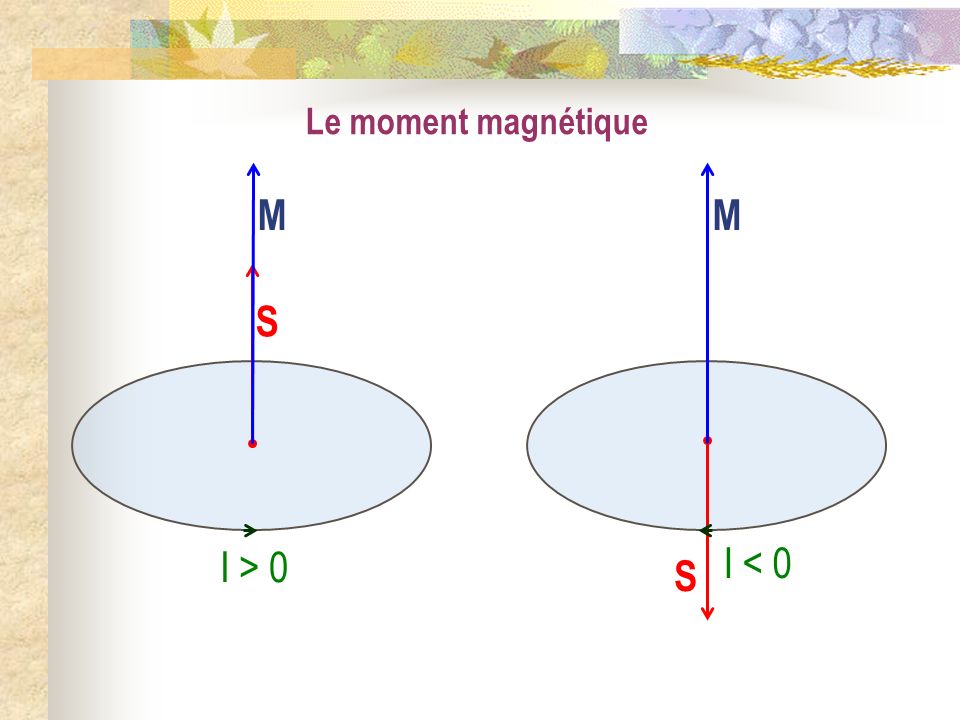 Le moment magnétique M M S S I > 0 I < 0
