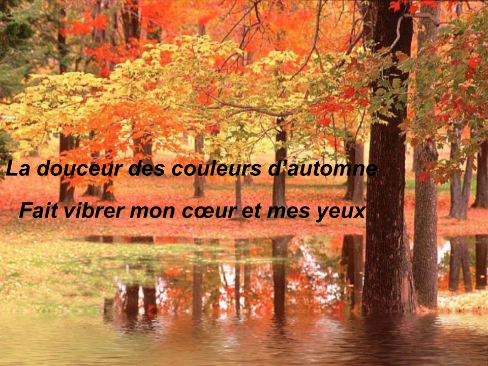 Feuilles D Automne Interprete Georges Hamel Ppt Telecharger