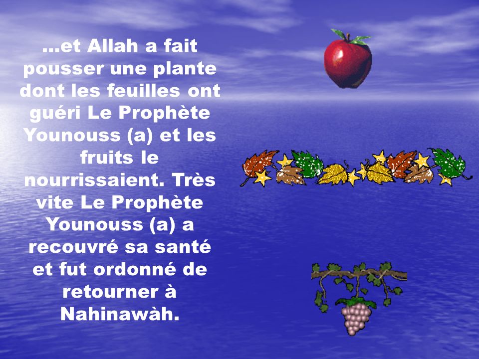 …et Allah a fait pousser une plante dont les feuilles ont guéri Le Prophète Younouss (a) et les fruits le nourrissaient. Très vite Le Prophète Younouss (a) a recouvré sa santé et fut ordonné de retourner à Nahinawàh.