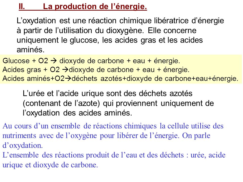 II. La production de l’énergie.