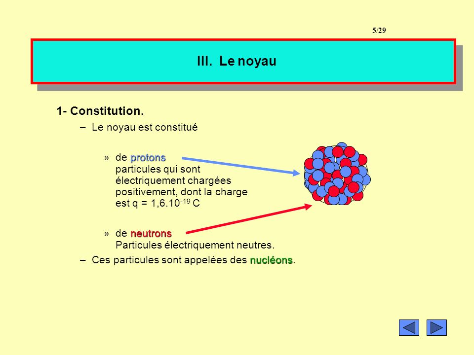III. Le noyau 1- Constitution. Le noyau est constitué de protons