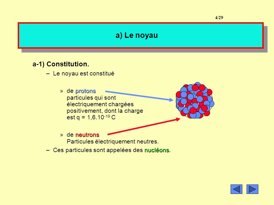 a) Le noyau a-1) Constitution. Le noyau est constitué de protons