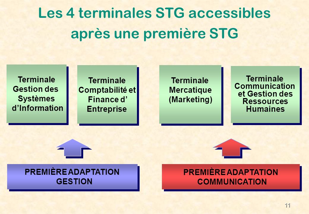 Les 4 terminales STG accessibles après une première STG