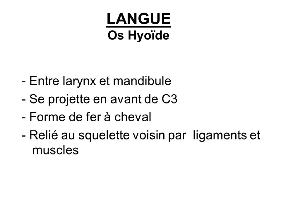 LANGUE Os Hyoïde - Entre larynx et mandibule