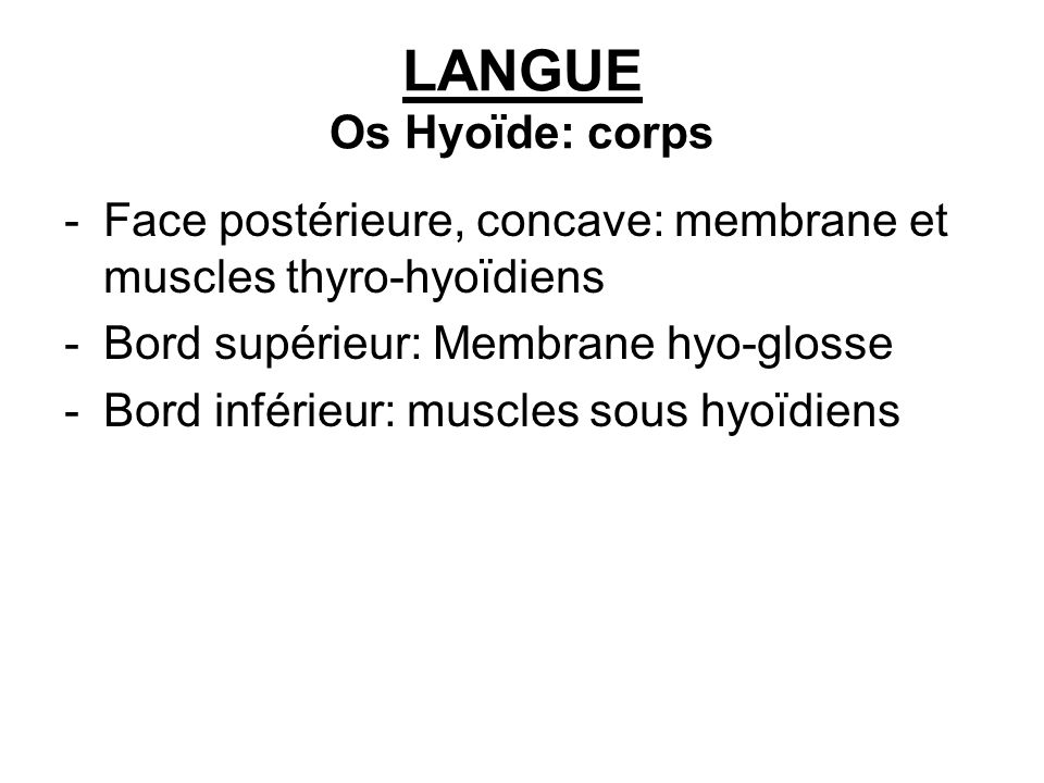 LANGUE Os Hyoïde: corps