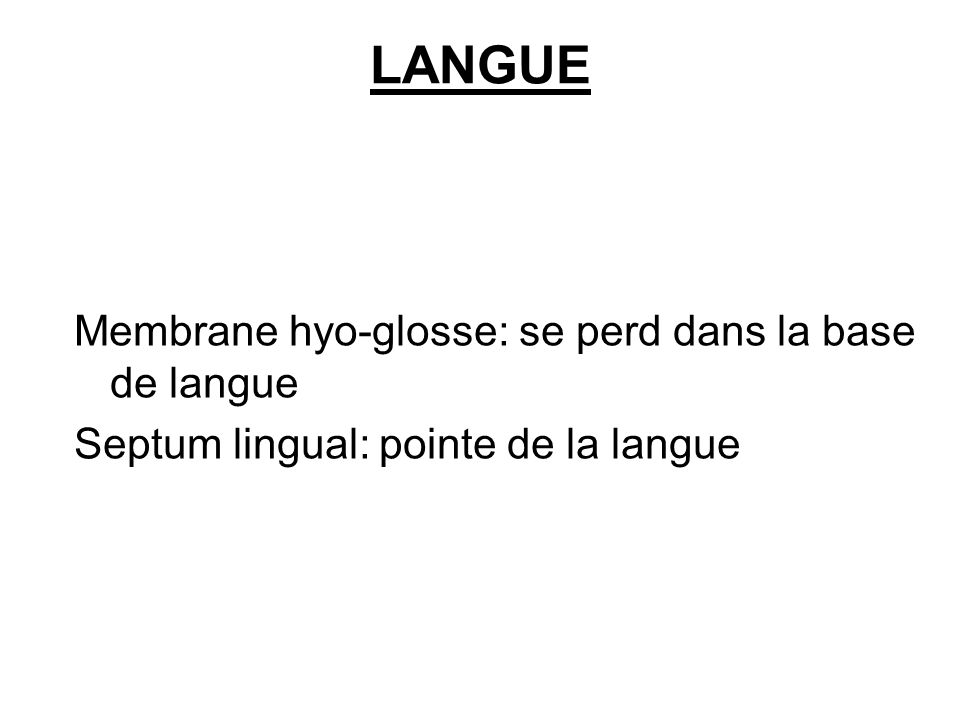 LANGUE Membrane hyo-glosse: se perd dans la base de langue