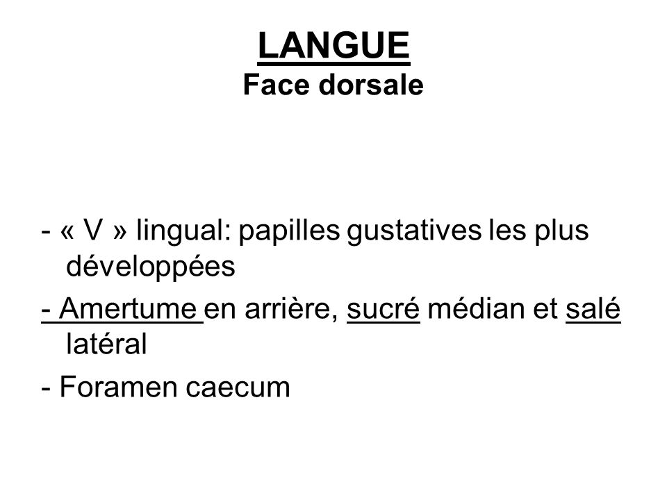 LANGUE Face dorsale - « V » lingual: papilles gustatives les plus développées. - Amertume en arrière, sucré médian et salé latéral.