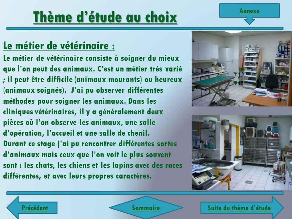 Rapport De Stage En Entreprise Clinique Veterinaire Dr Bouche Ppt Video Online Telecharger