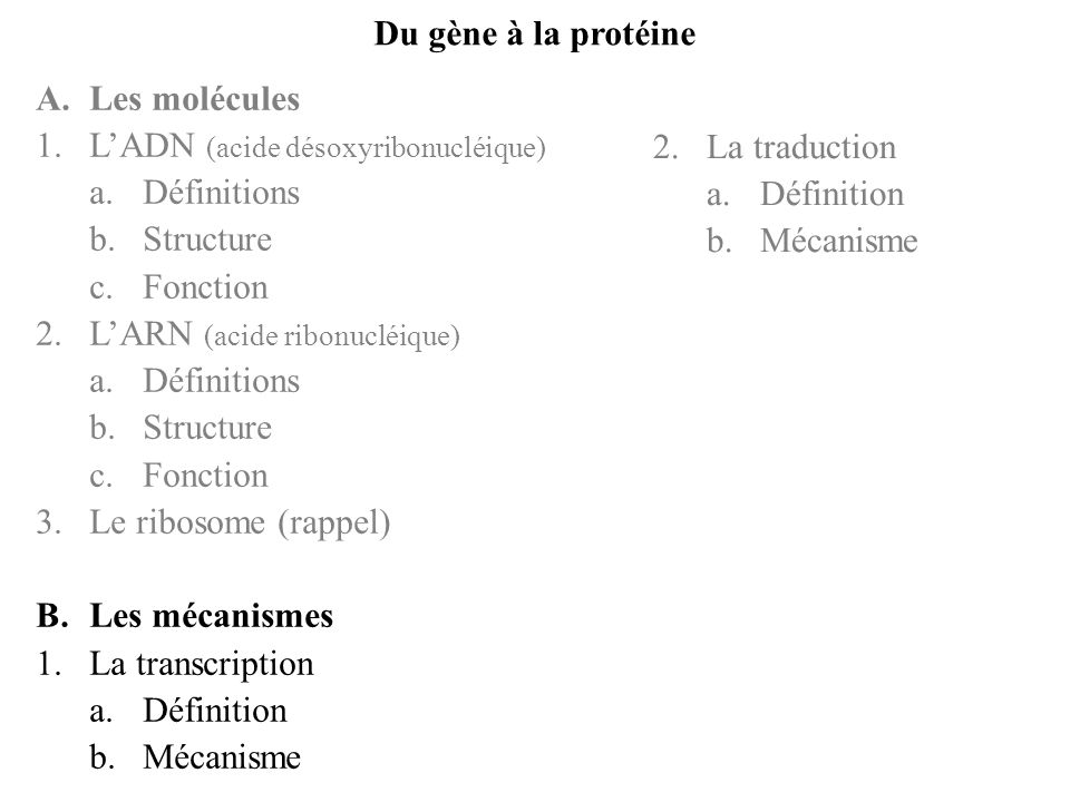 Du gène à la protéine A. Les molécules. L’ADN (acide désoxyribonucléique) Définitions. Structure.