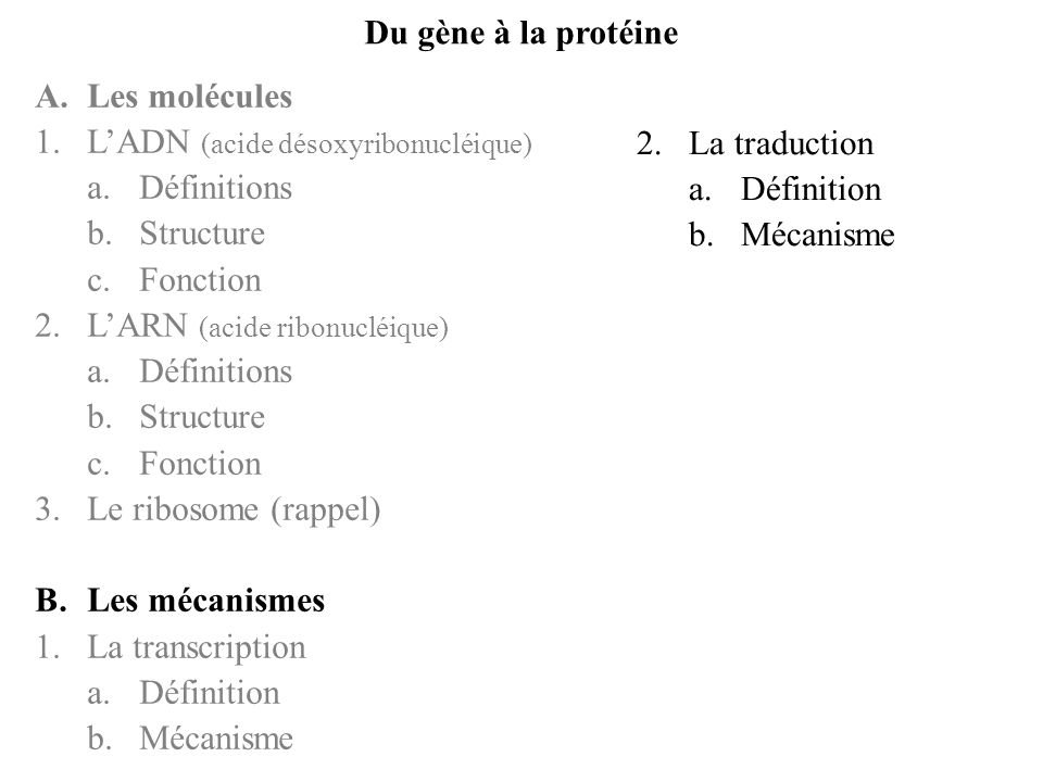 Du gène à la protéine A. Les molécules. L’ADN (acide désoxyribonucléique) Définitions. Structure.