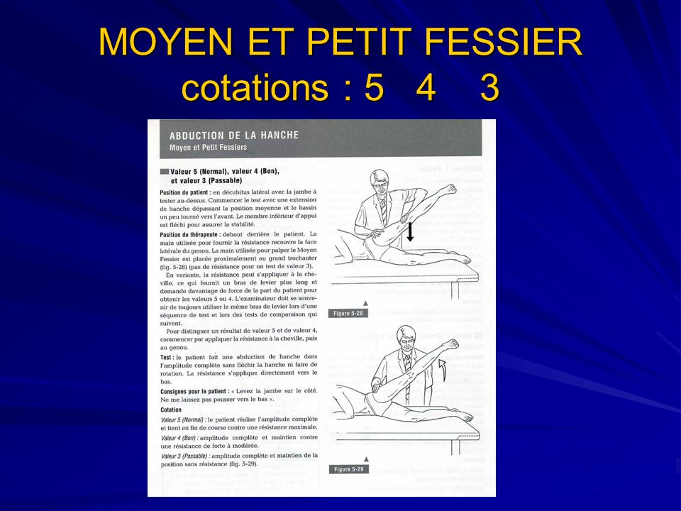 MOYEN ET PETIT FESSIER cotations : 5 4 3