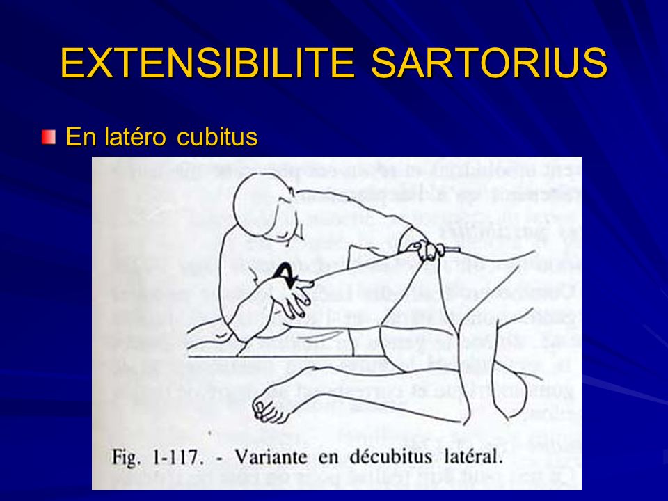 EXTENSIBILITE SARTORIUS