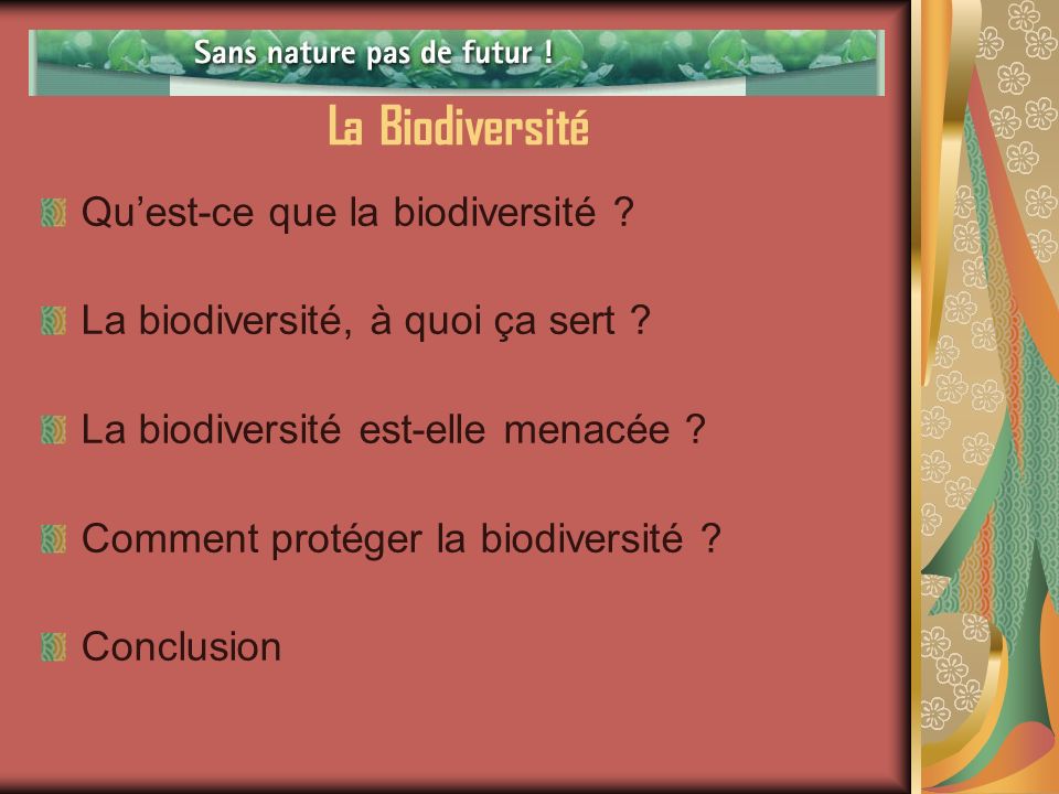 La Biodiversité Qu’est-ce que la biodiversité