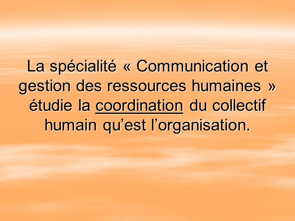 La spécialité « Communication et gestion des ressources humaines » étudie la coordination du collectif humain qu’est l’organisation.