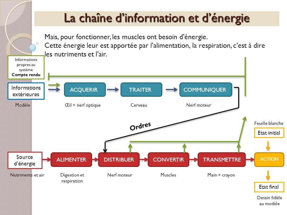 La chaîne d’information et d’énergie