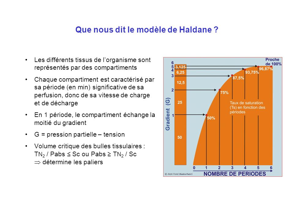 Que nous dit le modèle de Haldane