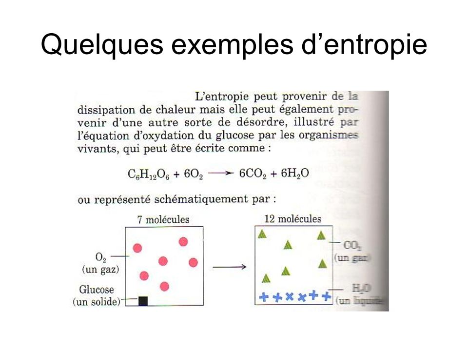 Quelques exemples d’entropie